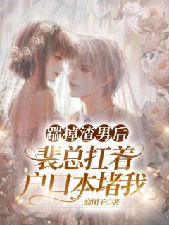 踹掉渣男后,裴总扛着户口本堵我阮安裴度小说全文章节阅读