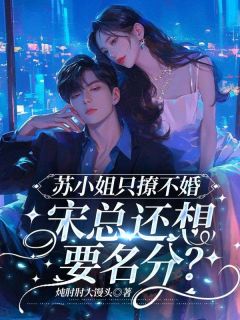 姜晚傅景深小说撩完就跑,宋总追着要名分免费阅读