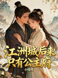 抖音小说江洲城后来只有公主府宋明晦赵相意全文txt