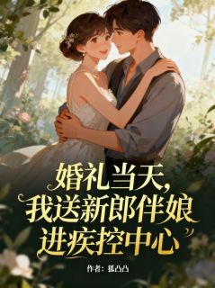 书荒推荐婚礼当天，我送新郎伴娘进疾控中心(钟闻博江冉)在线试读