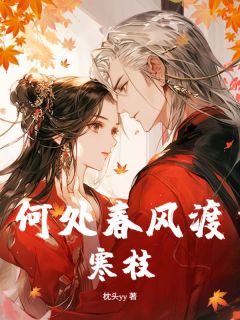 何处春风渡寒枝(纪凛沈月璃)最新章节