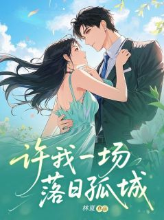 许我一场落日孤城(林清然沈遇)全文章节在线阅读