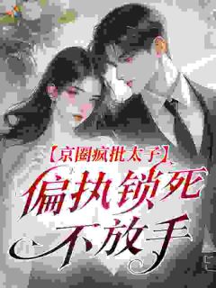 热门小说京圈疯批太子，偏执锁死不放手完整版全文阅读