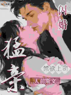 闪婚禁欲上司，人前斯文人后猛亲小说免费版阅读抖音热文