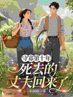 全章节小说守寡第十年，死去的丈夫回来了小双瑜最新阅读