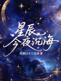 星辰今夜沉海司瑾年沈念全本小说(星辰今夜沉海)全章节小说目录阅读