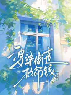 婆婆偷走救命钱（全本）李强林昭完整章节列表免费阅读