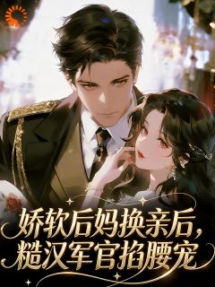 免费试读主角苏瓷陆肆小说