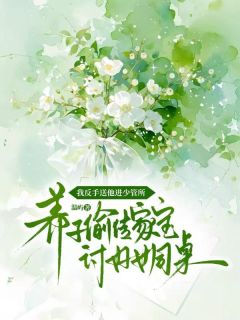 主角高明远晏南星小说,养子偷传家宝讨好女同桌,我反手送他进少管所免费阅读全文