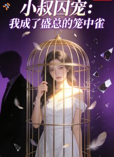 小叔囚宠：我成了盛总的笼中雀姜南叶盛长致无广告在线阅读