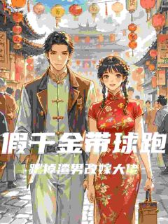 抖音小说假千金带球跑：踹掉渣男改嫁大佬主角叶茴傅斯南全文小说免费阅读