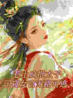 惹上疯批太子,司寝女官无路可逃沈祯萧祁渊免费全章节目录阅读