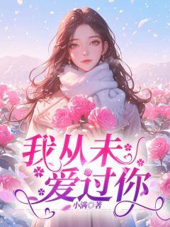 抖音我从未爱过你txt小说阅读