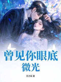 傅凛光沈知微小说章节目录阅读-曾见你眼底微光在哪免费看-暗夜阅读网