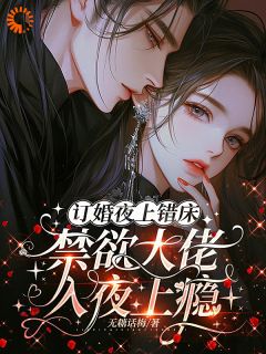 最完整版订婚夜上错床，禁欲大佬入夜上瘾热门连载小说