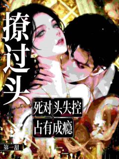 书荒必备撩过头，死对头失控占有成瘾全文章节阅读