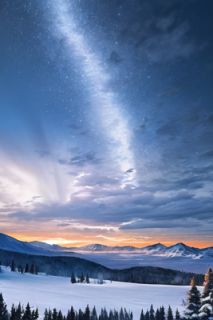 杨屹苏晚结局是什么 杨屹苏晚免费阅读全文