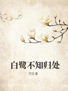 白鹭不知归处高泽铭沈姿大结局小说全章节阅读