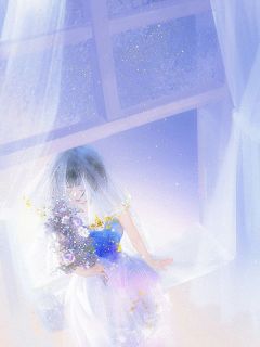 岁月偏长，深情不寿全文目录-陆泽苏安安小说无弹窗阅读