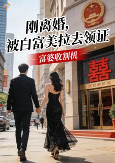 (抖音)刚离婚，被白富美拉去领证陈默王芳小说免费全文阅读