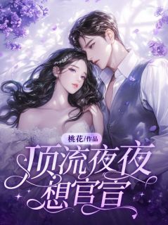 免费完结小说顶流夜夜想官宣盛望沈蔓无弹窗免费阅读