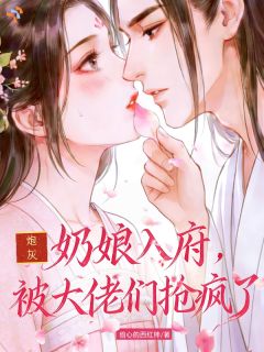 偷心的西红柿写的小说炮灰奶娘入府，被大佬们抢疯了在线阅读-暗夜阅读网