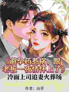 避孕药惹祸，跟老板一夜情怀上了许知夏陆司宴大结局小说全章节阅读