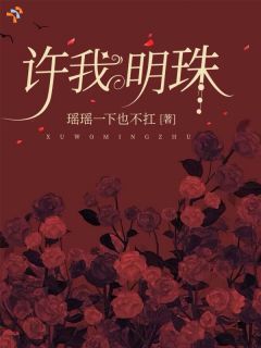 许我明珠(新书)大结局在线阅读