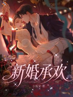 值得熬夜看完的新婚承欢小说阅读