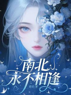 南北永不相逢小说苏楠裴城北免费阅读