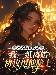 良心推荐老公名利双收那天，我一纸离婚协议甩他脸上小说试读