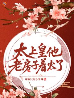 爆款热文宋枕玉李璟在线阅读-太上皇他老房子着火了全章节列表