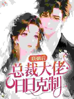 精品小说联姻捡到宝，陆先生，新婚请热恋全文目录畅读