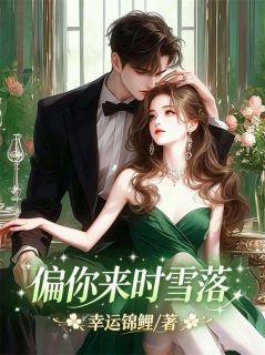 抖音偏你来时雪落txt小说阅读