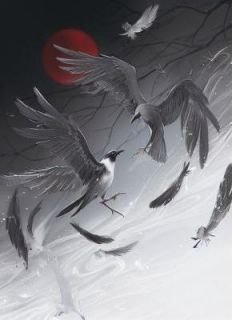 叶清石易全章节阅读-凡人修仙：从精炼废丹开始全文分享阅读