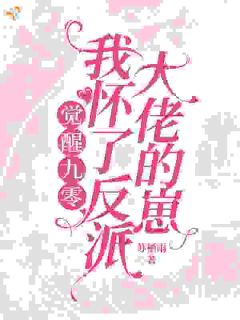 觉醒九零，我怀了反派大佬的崽小说的书名是什么
