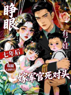 叶南夕裴夜寒睁眼七年后，嫁军官死对头有了娃完结版小说全文免费阅读