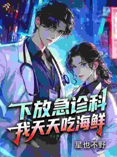 爆款小说下放急诊科，我天天吃海鲜-主角林辞苏可歆在线阅读