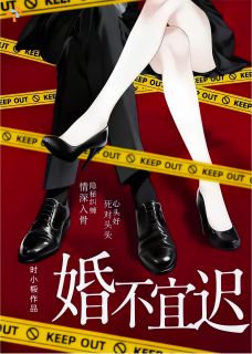 精彩小说婚不宜迟苏青瓷裴淮序全章节在线阅读