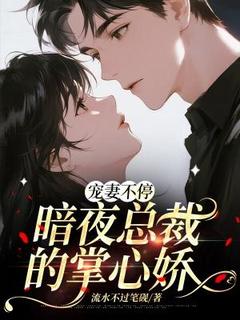 苏伊人夜铭琛宠妻不停：暗夜总裁的掌心娇小说完整版