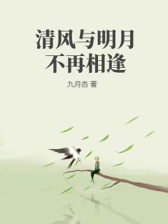 清风与明月不再相逢林舒窈陆砚之小说全文章节阅读