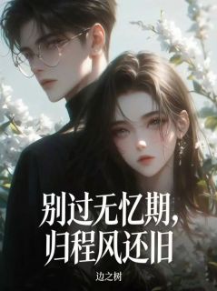 别过无忆期，归程风还旧主角是黎溪霍聿怀小说百度云全文完整版阅读