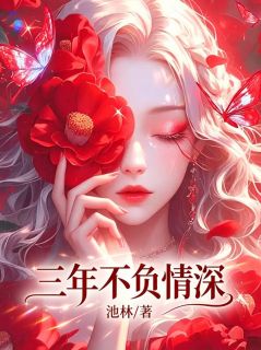 沈恒澍程清音三年不负情深完结版小说全文免费阅读