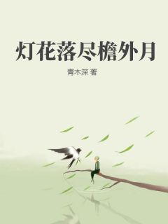 爆款小说灯花落尽檐外月主角清欢沈宴辞全文在线完本阅读
