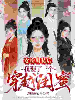 赐婚？我女扮男装怎么娶(全章节)-余南晴沈沐橙在线阅读