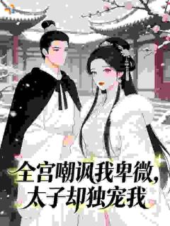 独家全宫嘲讽我卑微，太子却独宠我小说-主角苏婉萧铎全文免费阅读