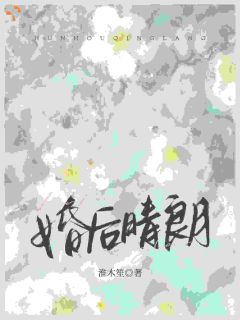 婚后晴朗沈清鲤陆廷郁小说全文章节阅读