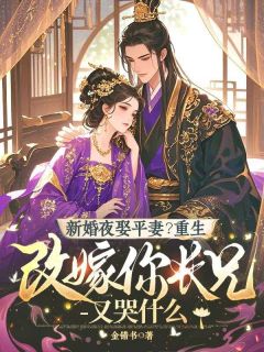 新婚夜娶平妻？重生改嫁你长兄又哭什么by沈知微顾昭临在线阅读
