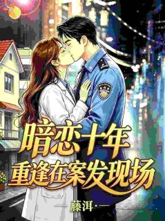 沈时吟陆司宴主角抖音小说暗恋十年，重逢在案发现场在线阅读