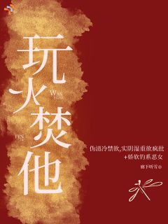 玩火焚他小说的书名是什么